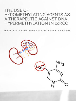 cover image of The Use of Hypomethylating Agents As a Therapeutic Against DNA Hypermethylation In ccRCC